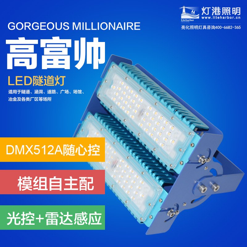 DG5401-LED隧道灯