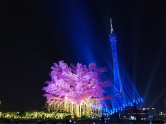 2017广州国际灯光节