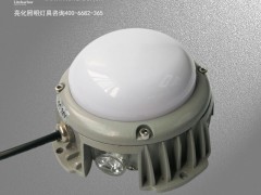 DG6452-LED点光源厂家 户外点光源专业定制