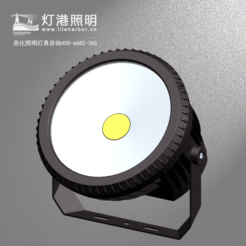 DG5216B-LED投光灯/COB投光灯厂/投光灯亮化工程