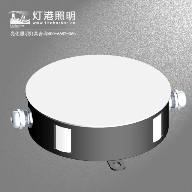 LED点光源厂家